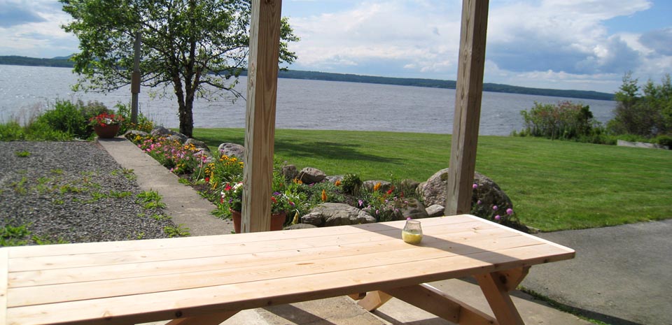 Picnic Table and Gas Grill