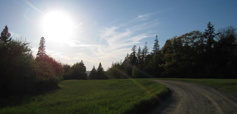 Driveway to Fox Run Cottage