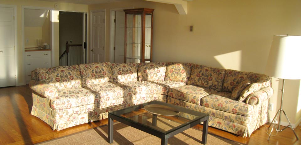 Sun-Filled Living Room
