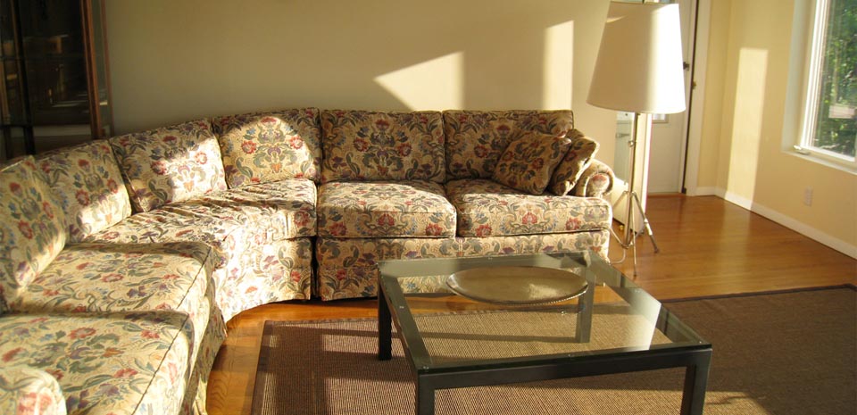 Sun-Filled Living Room