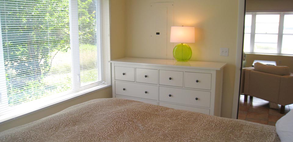 Downstairs Guest Bedroom