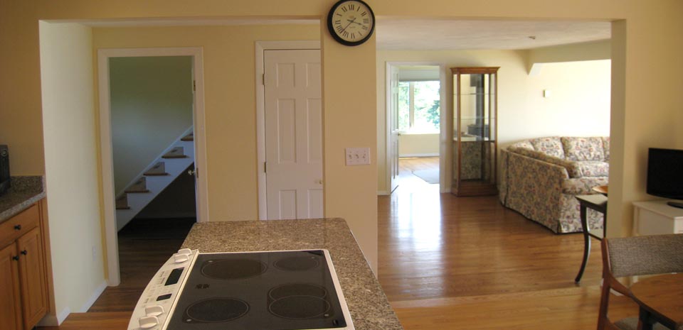 Open Kitchen and Living Areas